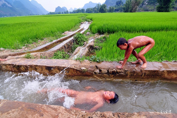 Những d&ograve;ng suối đẹp duy&ecirc;n d&aacute;ng ở T&acirc;y Bắc